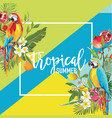 tropical fruits flowers and parrot birds banner vector image