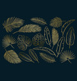 set black and white tropical leaves vector image vector image