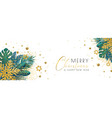 christmas tropical banner vector image vector image