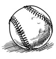baseball sketch vector image