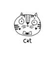 cute simple cat face cartoon style vector image vector image