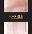 modern pastel rose pink beige watercolor vector image vector image
