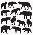 spotted hyena silhouettes vector image