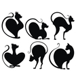 cats vector image