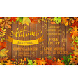 fall festival template vector image