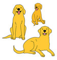 retriever dogs vector image