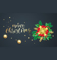merry christmas holiday background template vector image
