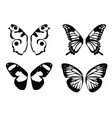 set butterfly wings vector image