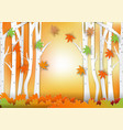 paper art style of forest for autumn concept vector image
