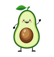 avocado in flat style isolat vector image