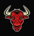 bull red head colored isolated vector image