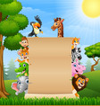 animals with a blank sign paper vector image