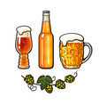 branch of hop big mug full of beer with foam vector image vector image