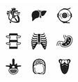 anatomy icon set vector image