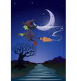 a witch travelling with her broomstick vector image vector image