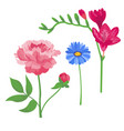 cartoon petal vintage floral bouquet garden vector image