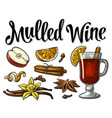 mulled wine with glass and ingredients vector image