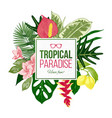 summer background with tropical plants and flowers vector image vector image