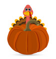 turkey pilgrimin on thanksgiving day vector image vector image