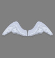 white angel wings vector image
