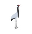 drawing bird demoiselle crane vector image vector image