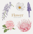 flower element watercolor wedding vector image vector image