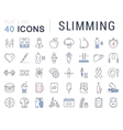set flat line icons slimming vector image vector image