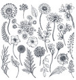 collection of hand drawn flowers and plants vector image