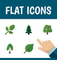 flat icon ecology set of decoration tree park vector image vector image