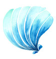 blue sea shell watercolor for summer vector image vector image