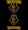 vikings team mascot vector image