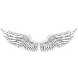 black and white hand-drawn wings vector image