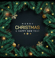 christmas tree branches decorative frame vector image vector image