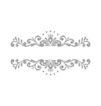 elegant luxury vintage silver floral border vector image