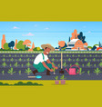 male farmer planting young seedlings plants vector image