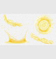 water crowns and splashes vector image