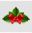 christmas holly berry transparent background vector image