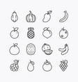 fruits and berries line icons set on a white vector image