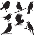 bird silhouettes on branch vector image