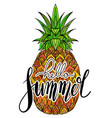 handwritten lettering hello summer juicy vector image