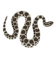 wild animal massasauga rattlesnake isolated object vector image