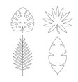 tropical palm monstera leaves icon isolated vector image vector image