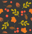 seamless pattern acorn maple and wild berries vector image