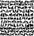dog silhouettes vector image