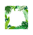 square frame leaves placed inside vector image