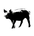 pig banksy style 1 vector image