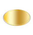 golden plate icon name tag oval shape realistic vector image vector image