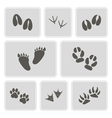icons with traces of animals and birds vector image