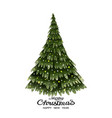 watercolor christmas tree with gold star vector image vector image