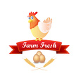 emblem with chicken and red ribbon vector image vector image